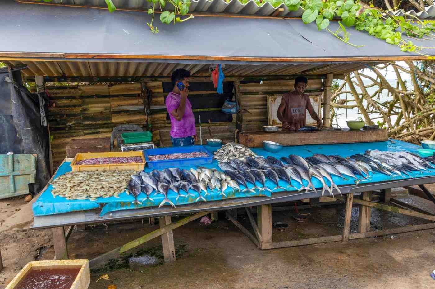 fishmonger-in-bentota-village-sri-lanka