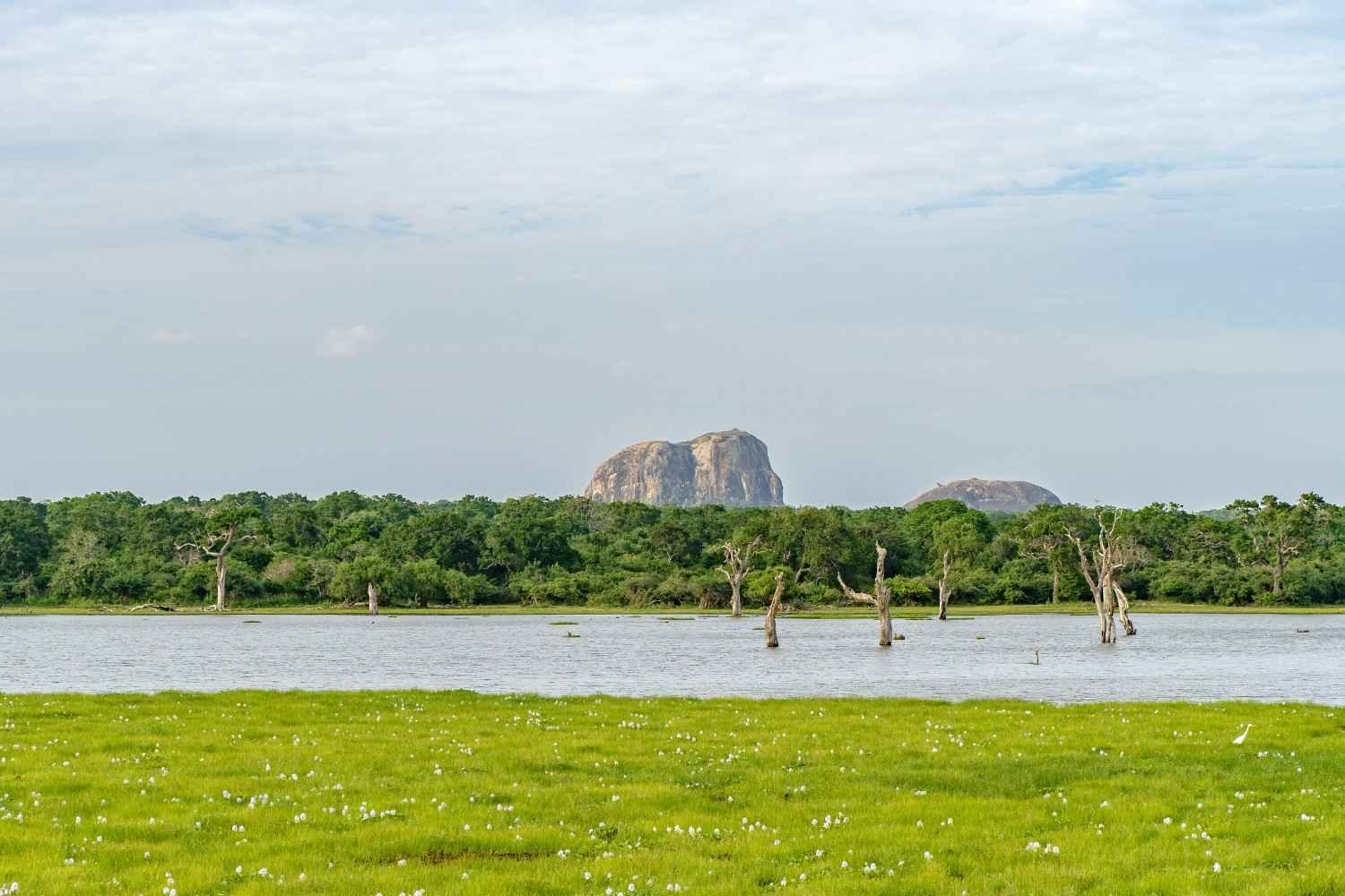 yala-national-park-sri-lanka