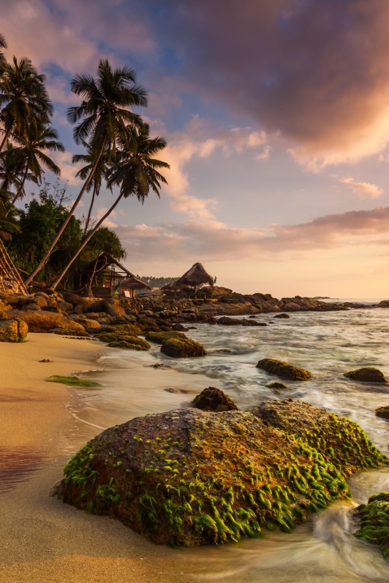 Sandy beach at dawn. Sri Lanka